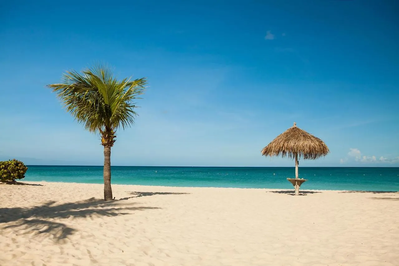As Good As Dark Chocolate Apartment Oranjestad 0*,  Aruba